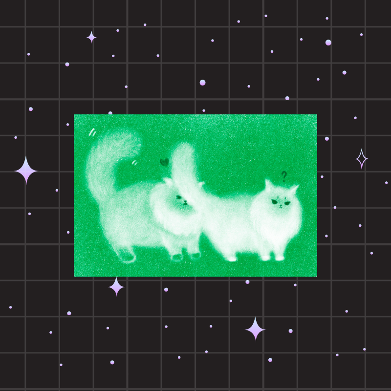 Riso Post Cards