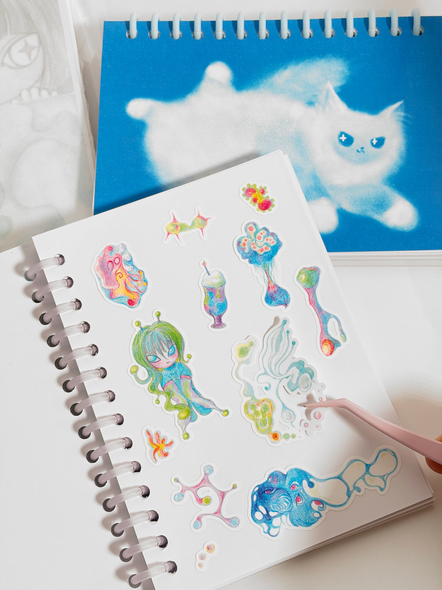 Reusable Sticker Books